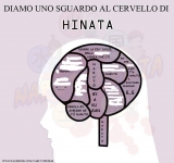 Cervello di Hinata (censurato